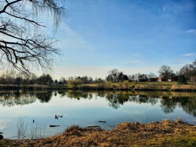 A Gébárti-tó – Zalaegerszeg zöld szíve, ahol a természeté a főszerep