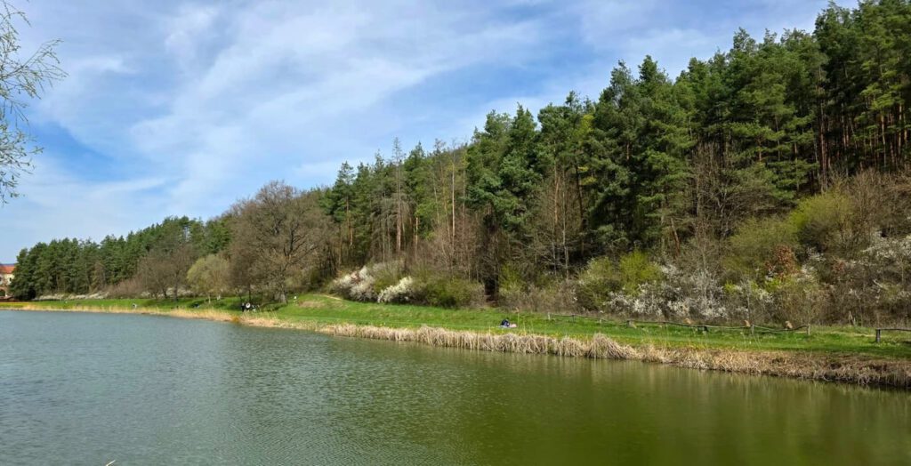 Berkenyei Hársas-tó: csendes kikapcsolódás a Börzsöny lábánál