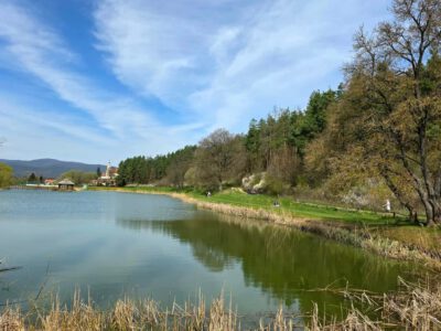 Berkenyei Hársas-tó: csendes kikapcsolódás a Börzsöny lábánál