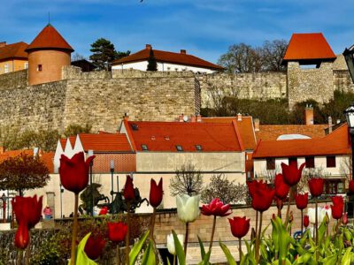 Miért érdemes Egert tavasszal felkeresni? Íme a válasz