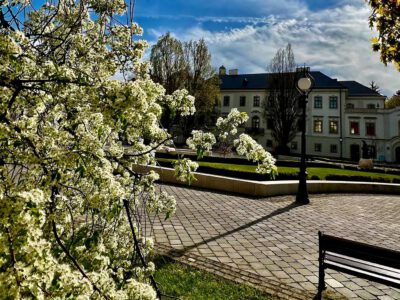 Miért érdemes Egert tavasszal felkeresni? Íme a válasz