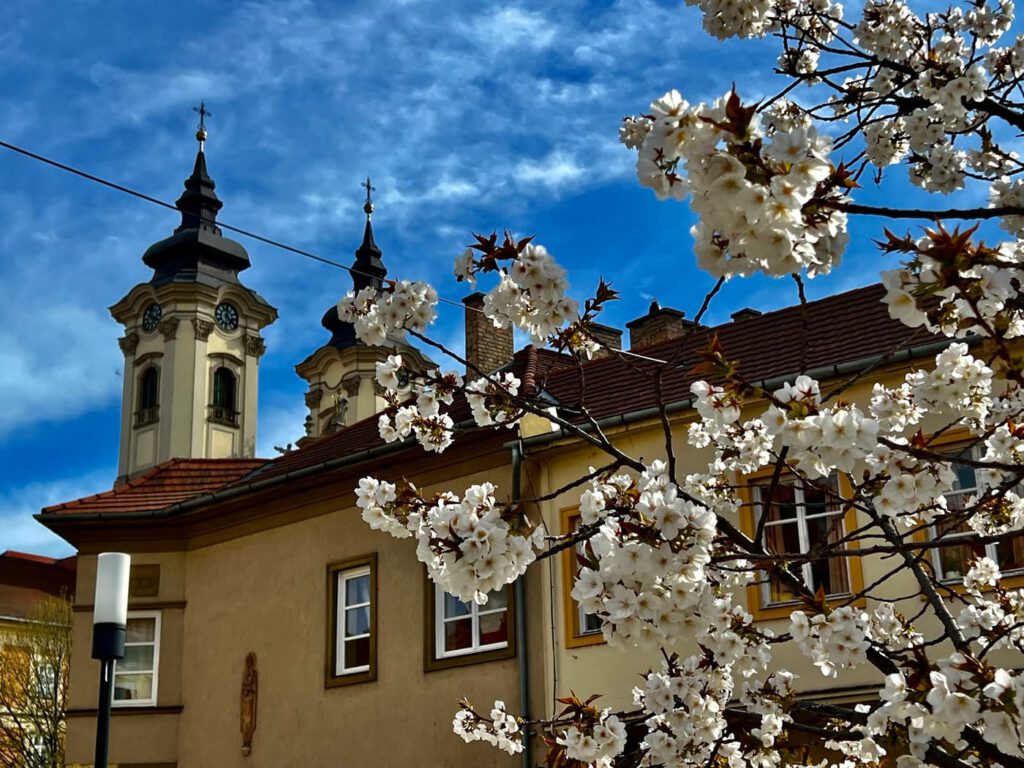 Miért érdemes Egert tavasszal felkeresni? Íme a válasz
