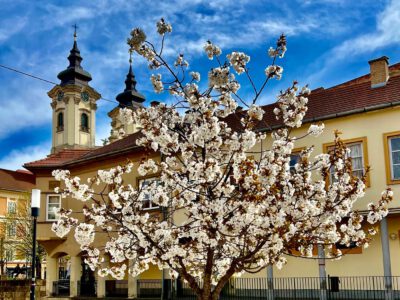 Miért érdemes Egert tavasszal felkeresni? Íme a válasz