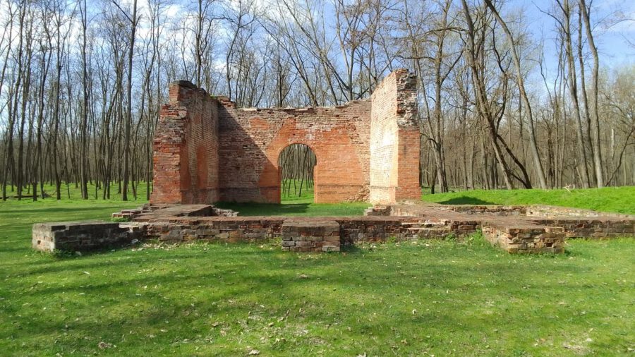 A Gúti templomrom és az Alföld mesebeli erdeje