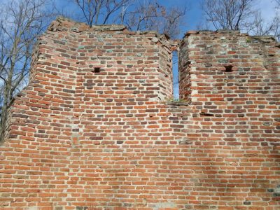 A Gúti templomrom és az Alföld mesebeli erdeje