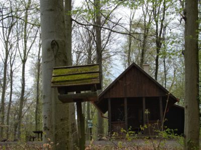 Erdő ölelte menedék – Jenő-kunyhó, a Pilis titkos zugában