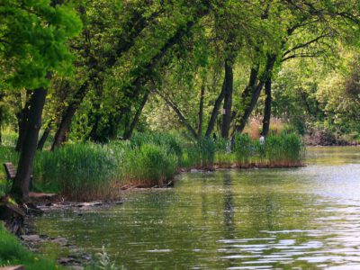 Szolnok zöld tüdeje – a Tiszaliget és a Csónakázó-tó
