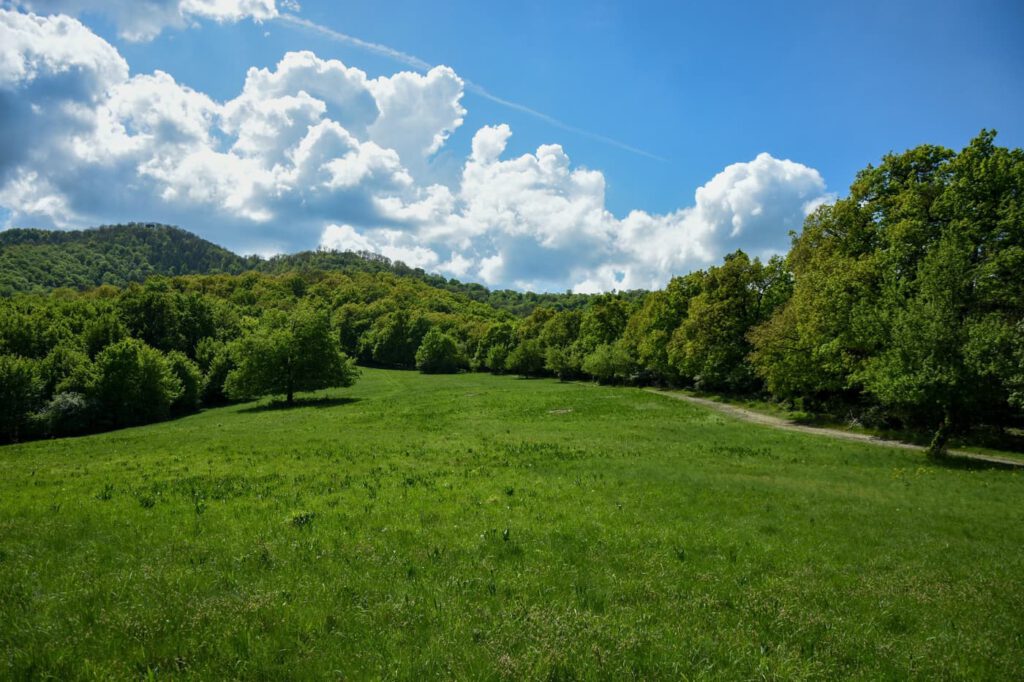 Prédikálószék, ahol a Dunakanyar a lábad előtt hever