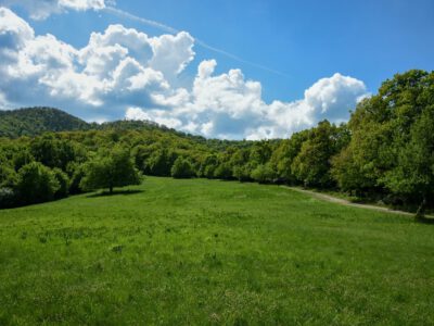 Prédikálószék, ahol a Dunakanyar a lábad előtt hever