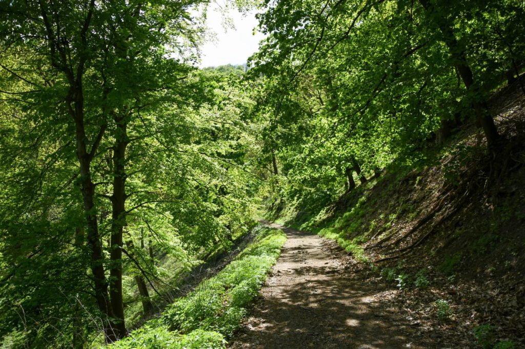 Prédikálószék, ahol a Dunakanyar a lábad előtt hever