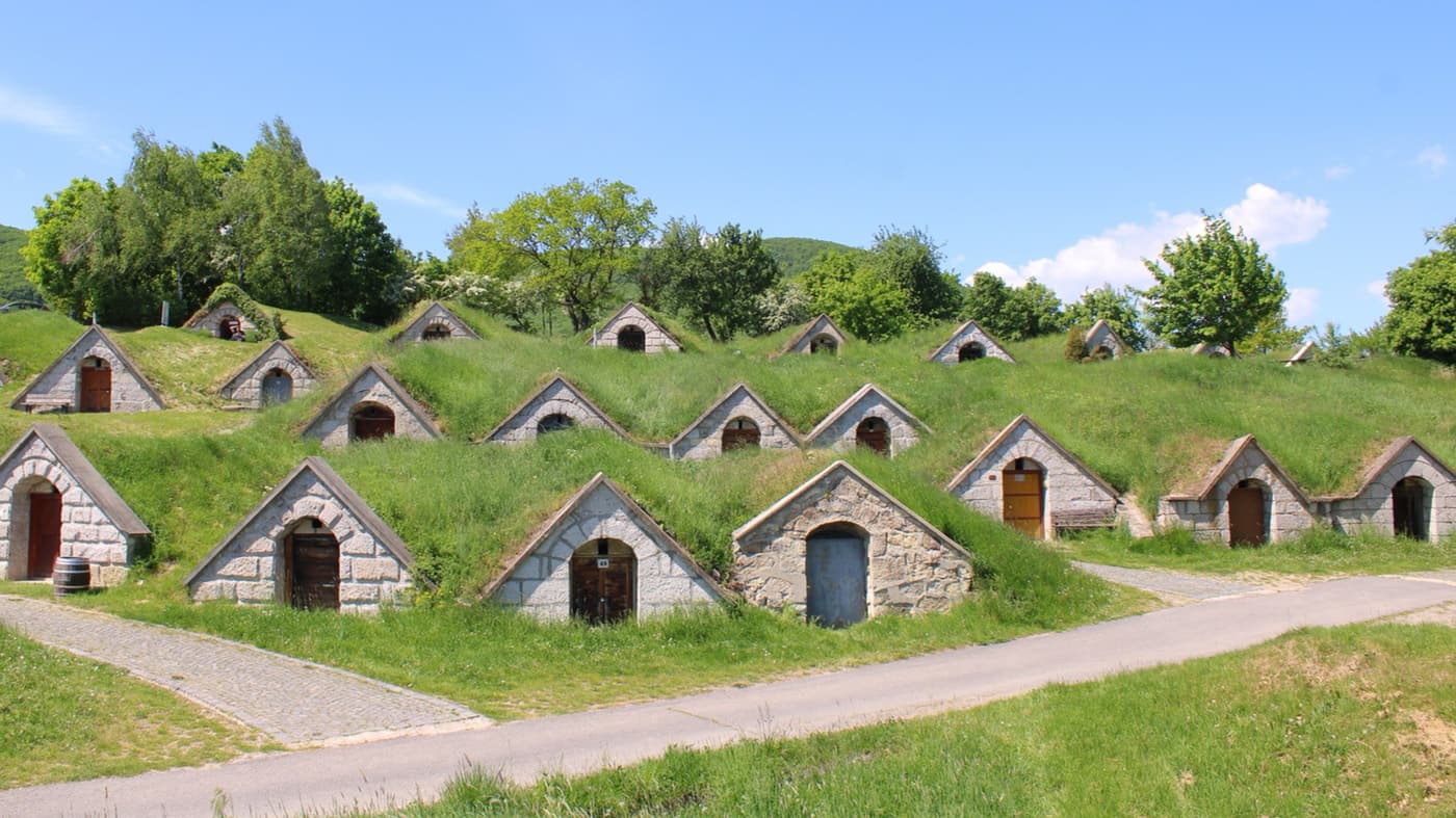 Bor és történelem Tokaj-Hegyalján: látogatás Hercegkút pincesorainál