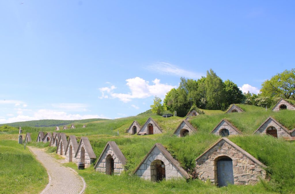 Bor és történelem Tokaj-Hegyalján: látogatás Hercegkút pincesorainál