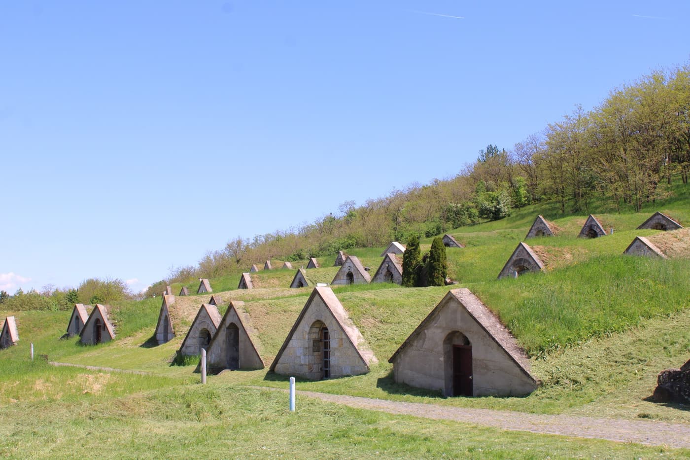 Bor és történelem Tokaj-Hegyalján: látogatás Hercegkút pincesorainál