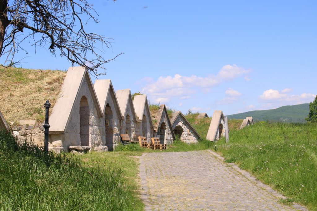 Bor és történelem Tokaj-Hegyalján: látogatás Hercegkút pincesorainál
