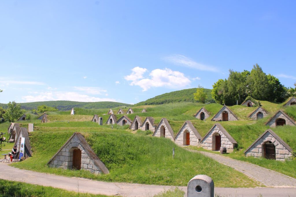 Bor és történelem Tokaj-Hegyalján: látogatás Hercegkút pincesorainál