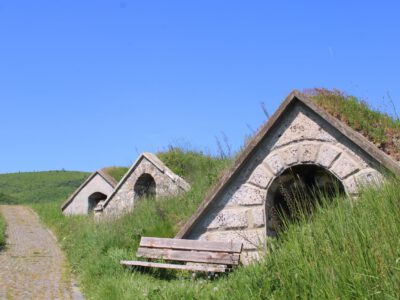 Bor és történelem Tokaj-Hegyalján: látogatás Hercegkút pincesorainál