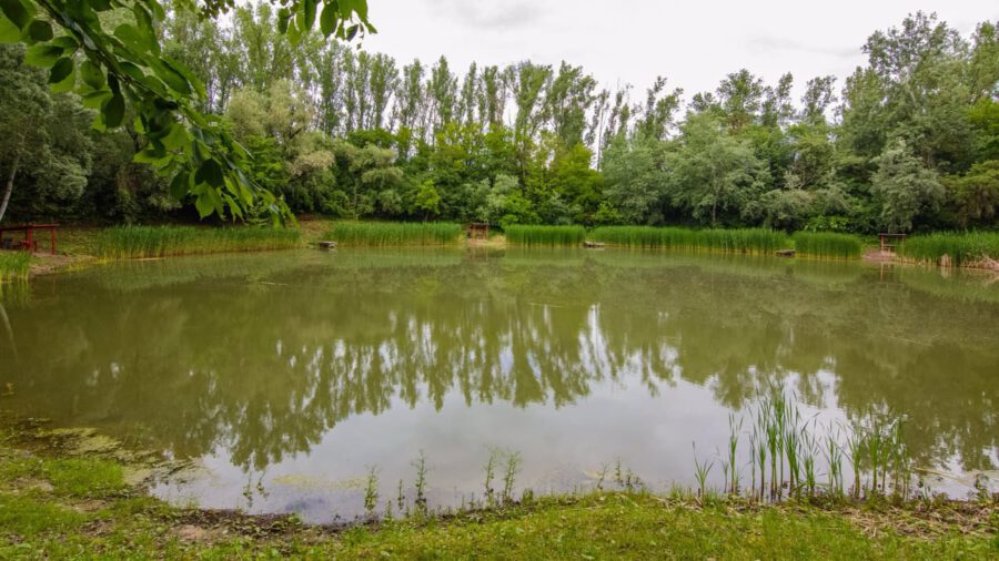 Rejtett tó az Alföld közepén – a nagyhegyesi Kráter-tó csodálatos világa