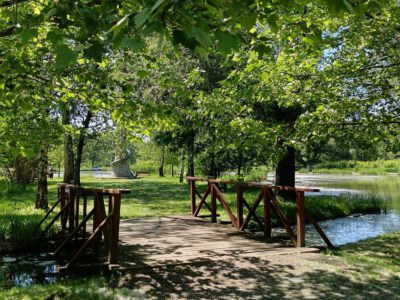 A Kígyókirály tava – Fedezd fel Vasvár titokzatos Feneketlen-tavát