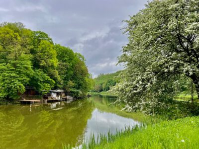 Kirándulás a Zagyvarónai tavak vadregényes világába