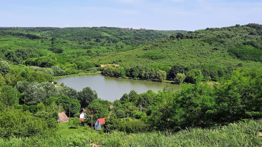 Tolna vármegye nyugodt szigete – a Hőgyészi horgásztó és környéke