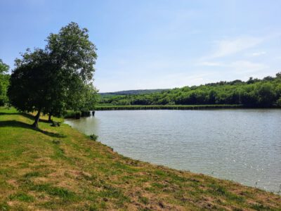 Tolna vármegye nyugodt szigete – a Hőgyészi horgásztó és környéke