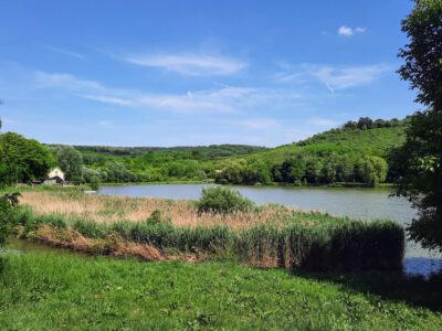 Tolna vármegye nyugodt szigete – a Hőgyészi horgásztó és környéke