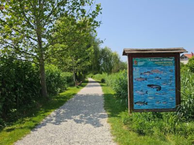 Ahol az Által-ér megpihen – kikapcsolódás a Környei-tó partján