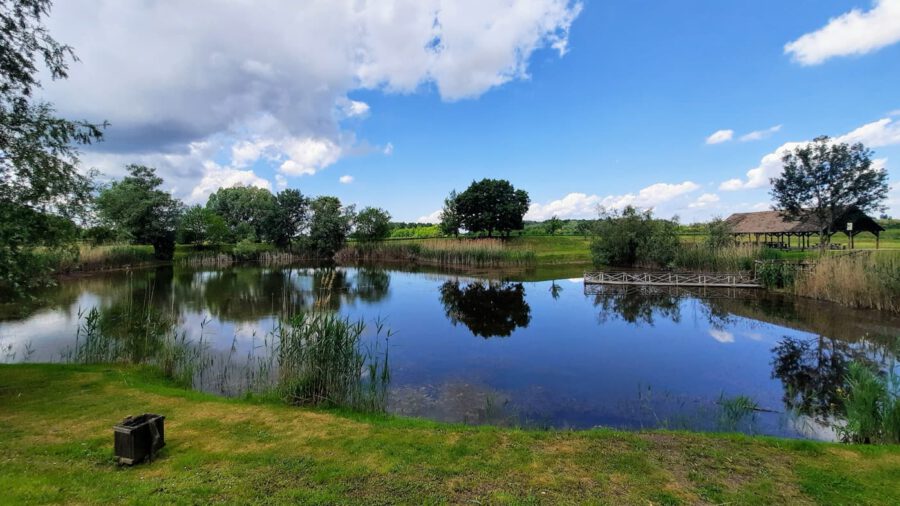 Hétöles-tó Szaporcán – A Duna–Dráva Nemzeti Park rejtett gyöngyszeme
