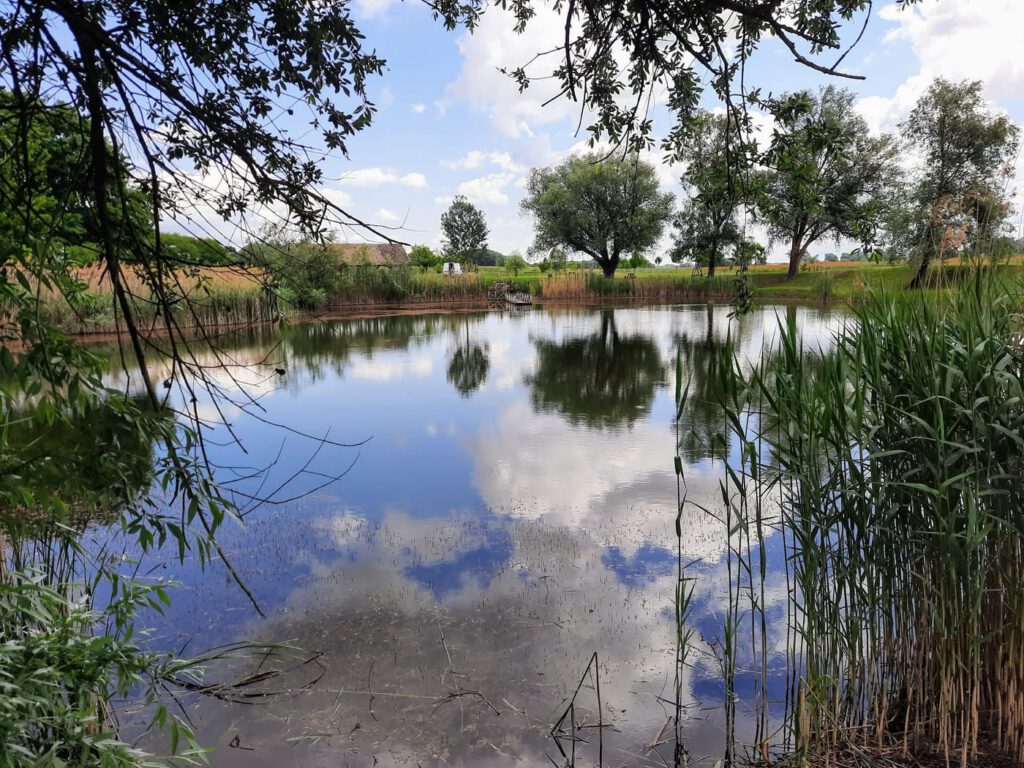 Hétöles-tó Szaporcán – A Duna–Dráva Nemzeti Park rejtett gyöngyszeme