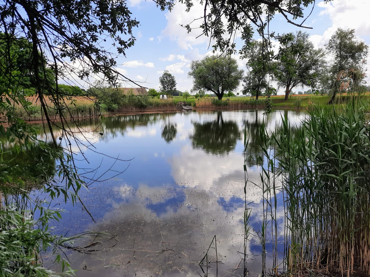 Hétöles-tó Szaporcán – A Duna–Dráva Nemzeti Park rejtett gyöngyszeme