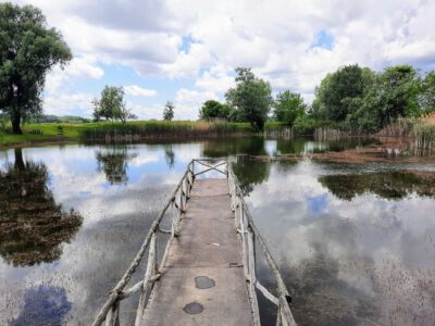 Hétöles-tó Szaporcán – A Duna–Dráva Nemzeti Park rejtett gyöngyszeme