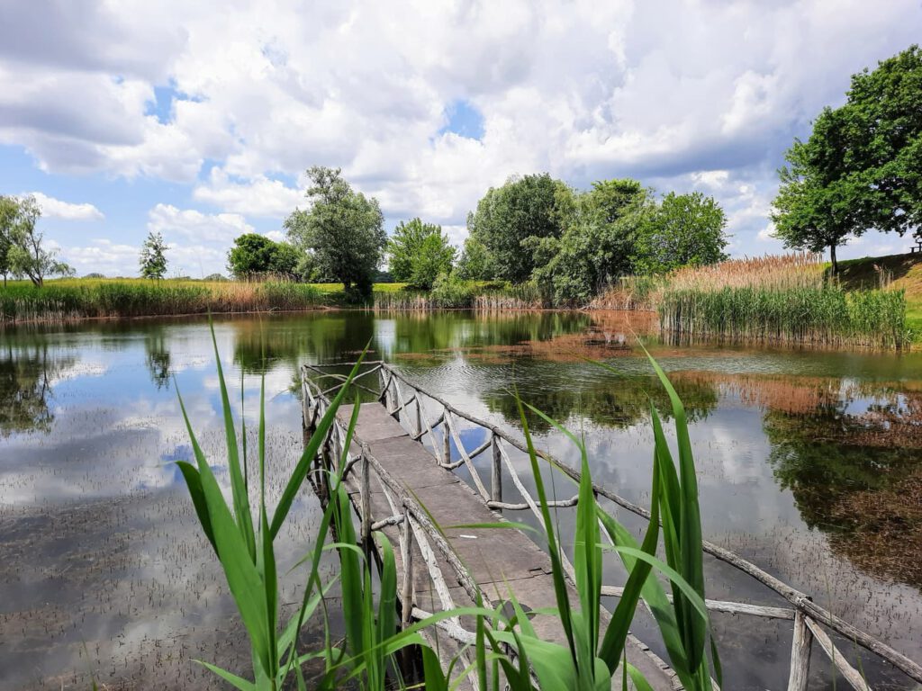 Hétöles-tó Szaporcán – A Duna–Dráva Nemzeti Park rejtett gyöngyszeme