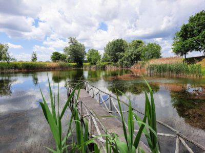 Hétöles-tó Szaporcán – A Duna–Dráva Nemzeti Park rejtett gyöngyszeme