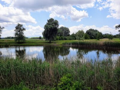 Hétöles-tó Szaporcán – A Duna–Dráva Nemzeti Park rejtett gyöngyszeme