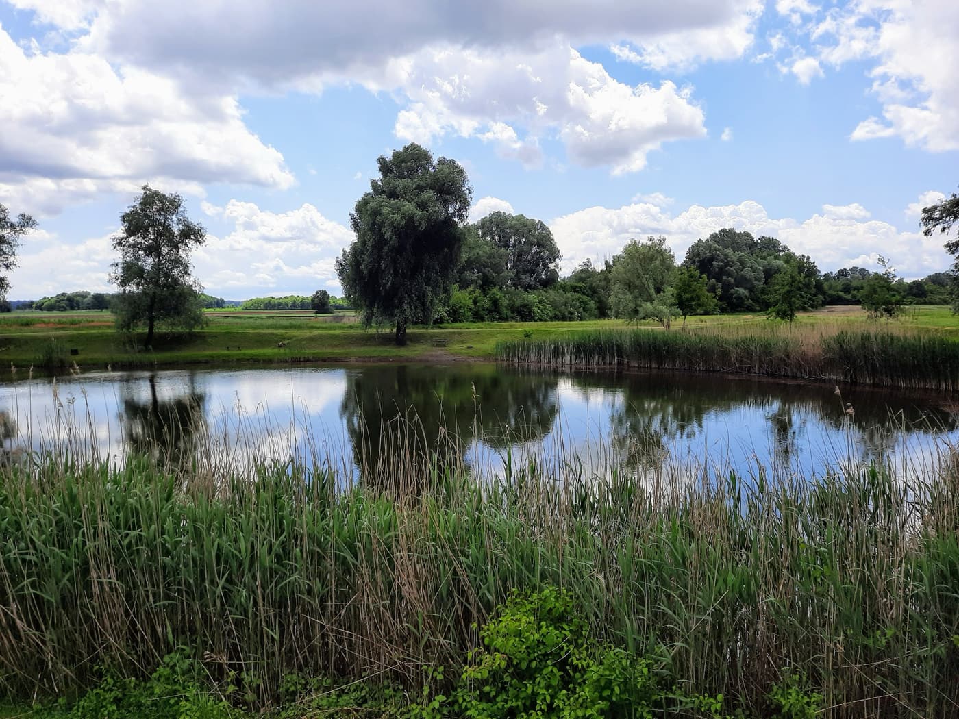 Hétöles-tó Szaporcán – A Duna–Dráva Nemzeti Park rejtett gyöngyszeme