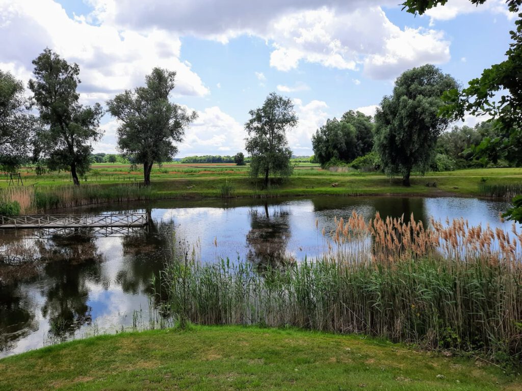 Hétöles-tó Szaporcán – A Duna–Dráva Nemzeti Park rejtett gyöngyszeme