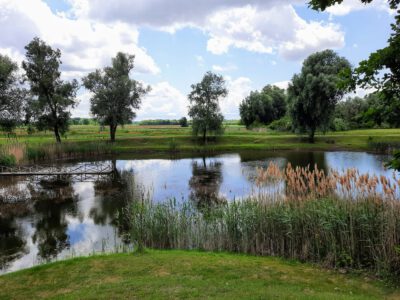 Hétöles-tó Szaporcán – A Duna–Dráva Nemzeti Park rejtett gyöngyszeme