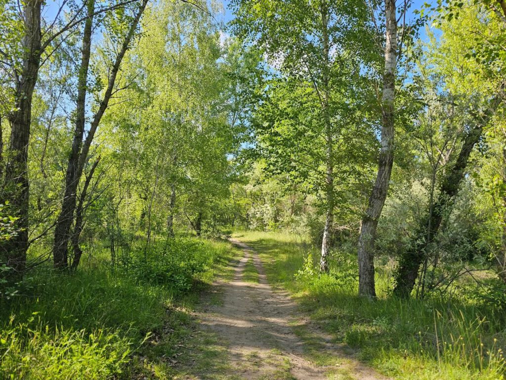 A város peremén nyíló vadon – a Sóstó-tanösvény Székesfehérváron