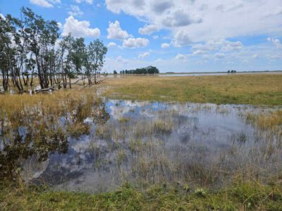 Réce tanösvény Apaj mellett: egy különleges alföldi kirándulás