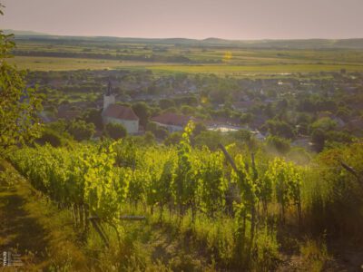 Tarcal fölé magasodik a kontinens legnagyobb gránitból faragott Jézus-szobra