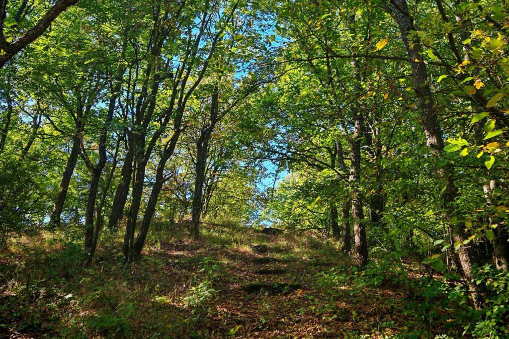 Bél-kő tanösvény – bükki panoráma és bányatörténet Bélapátfalván