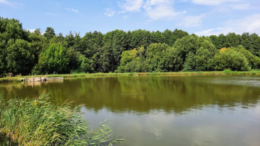 A Petörke-völgy – a Zselic rejtett gyöngyszeme