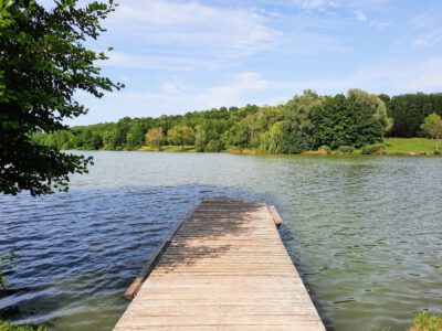 A Petörke-völgy – a Zselic rejtett gyöngyszeme