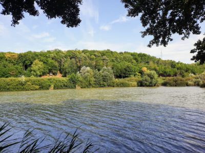 A Petörke-völgy – a Zselic rejtett gyöngyszeme