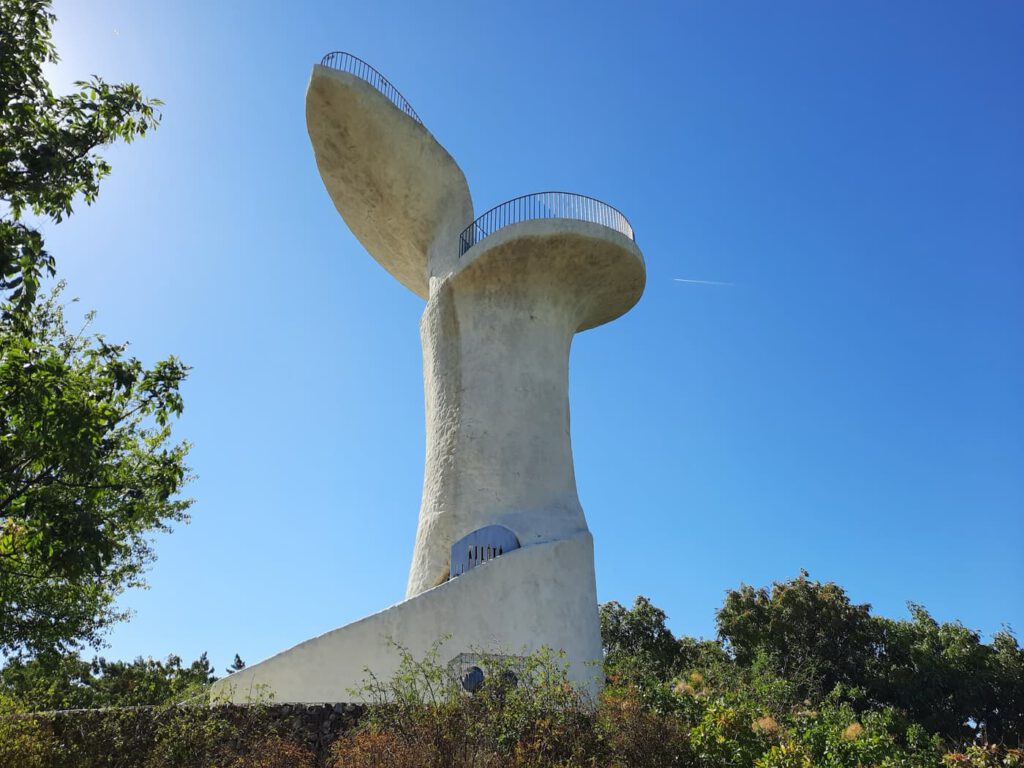 Bence-hegyi kilátó – ikonikus panorámapont a Velencei-tónál
