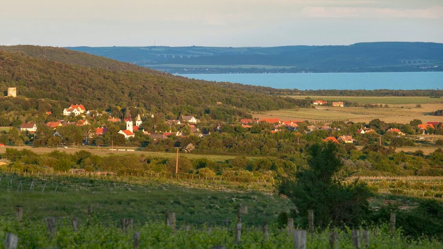 Halünnep 2026 Dörgicse