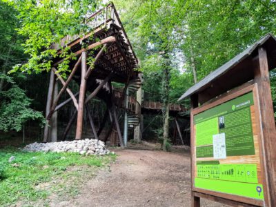 A Mecsek varázslatos látnivalója: a Sás-völgyi lombkoronasétány