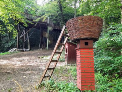 A Mecsek varázslatos látnivalója: a Sás-völgyi lombkoronasétány