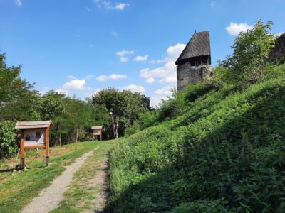 Nógrádi vár – a Börzsöny kapujának középkori erőssége