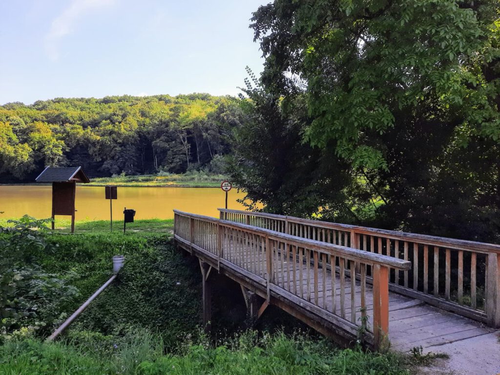 A somogyvári Széchenyi-kastély és parkja – időutazás a nemesi múlt árnyas fái alatt